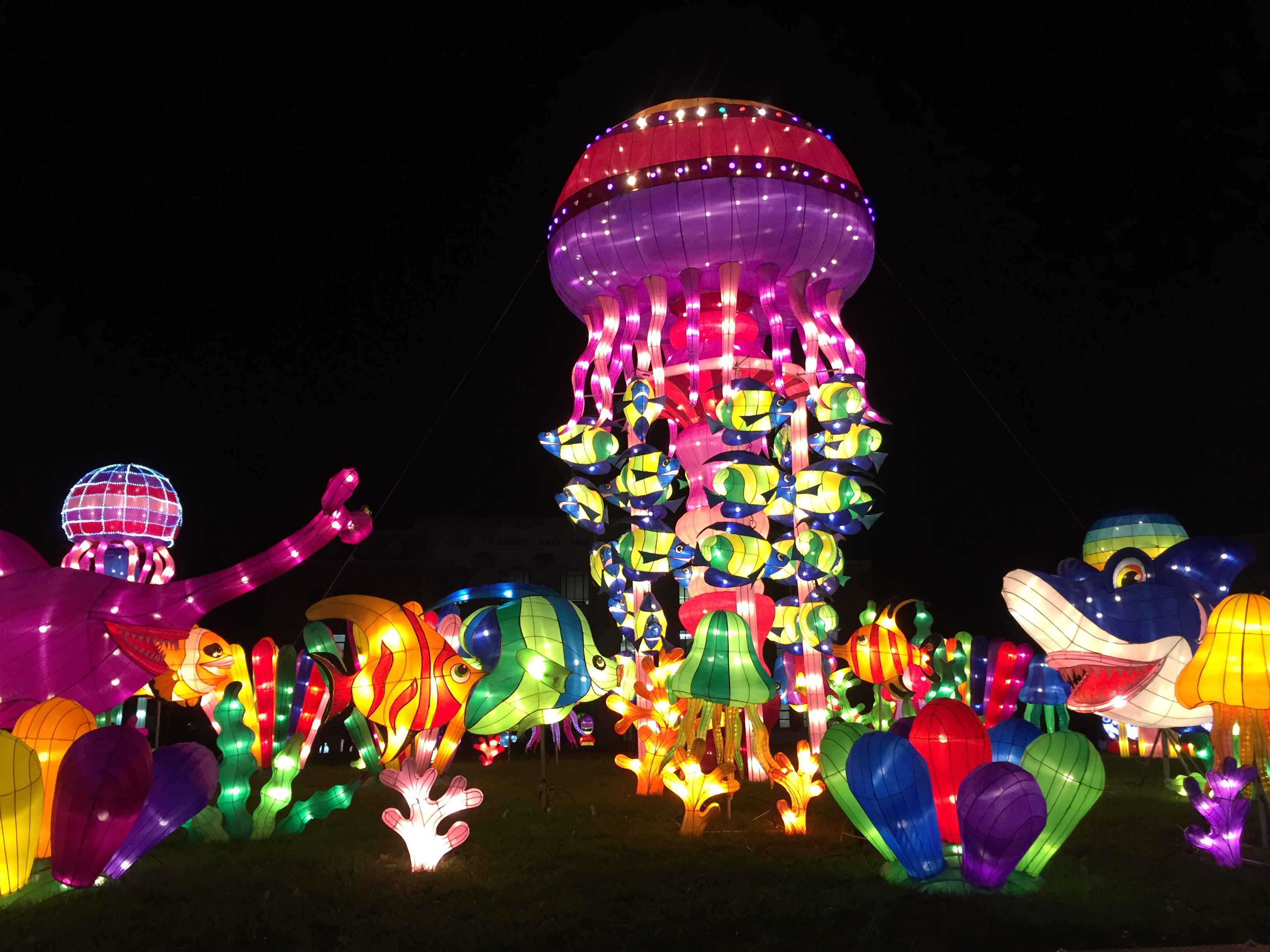 Dragon Lights Festival at Rancho San Rafael Regional Park Parc Forêt